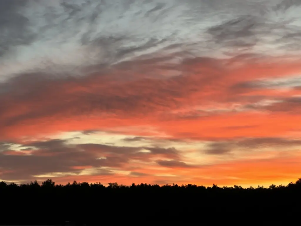 Dramatic pink and orange clouds at sunset above tree line