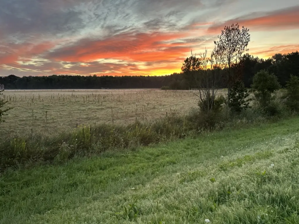 Dramatic orange sunrise clouds over autumn field